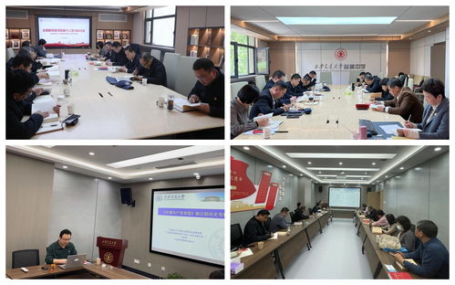 筑牢育人根基，賦能學校發(fā)展 基礎教育黨委以一流服務引領優(yōu)質教育新篇章